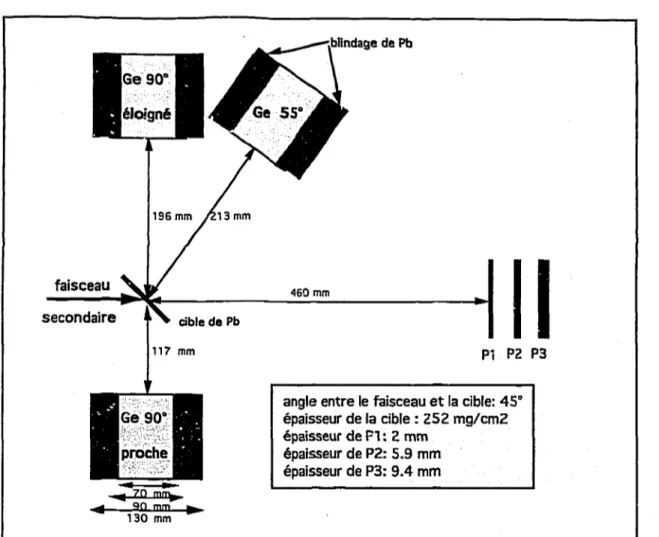 Fig. 1 • Dispositif expérimental pour l'étude de l'excitation Coulombienne de faisceaux radioactifs à haute énergie