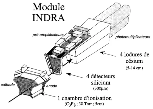 Figure 11.2 : exemple d'un module de détection d'INDRA où figure la disposition des différents type de détecteurs : chambre d'ionisation, silicium, Csl.
