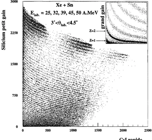 Figure III. 1 : matrices d'identification Si-Csl de la couronne 2, avec le système Xe + Sn (les données obtenues de 25 à 50 A.MeV sont superposées)