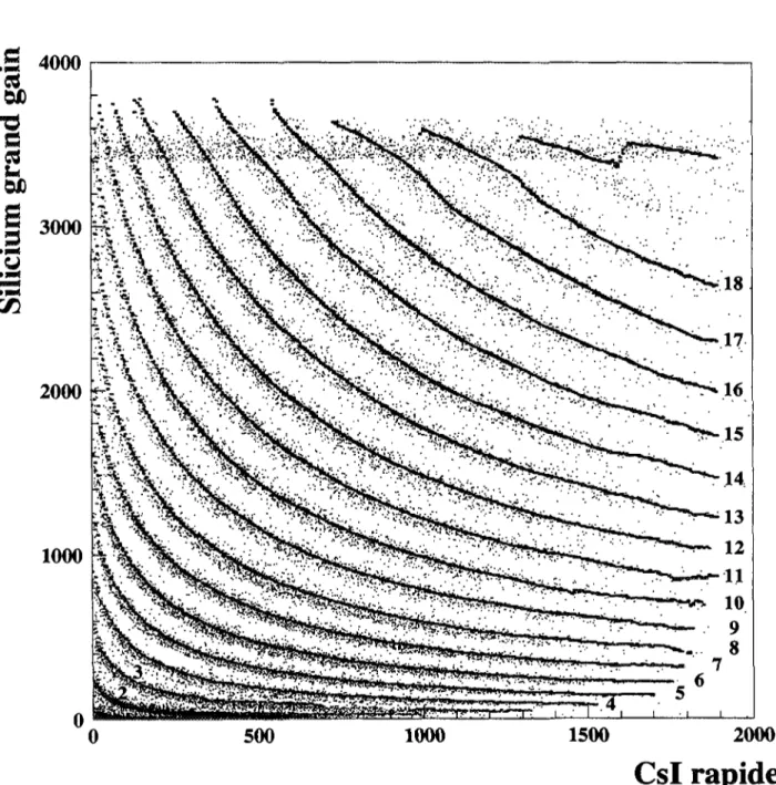 Figure III.5a : résultat de la recherche des lignes de crête (trait gras numérotés selon le Z de la ligne associée) sur une matrice Si grand gain - Csl (couronne 3, Xe + Sn).