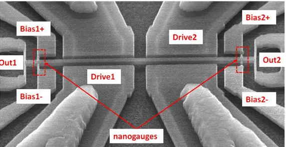 Fig. II.23: SEM image of a doubly-clamped design where a nanogauge bridge is found at each  extremity