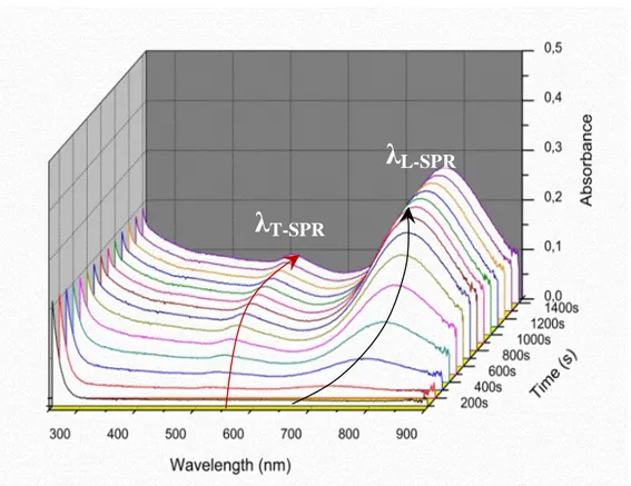 Figure II. 7 UV-Vis Spectrum of growth solution right after addition of 120 µL of Type 1 seed in  growth solution ([CTAB] = 0.1M, [HAuCl 4 ] = 0.5mM, [AgNO3] =0.045mM, [AA] =0.75mM) 