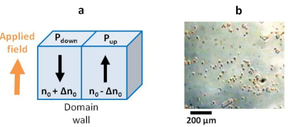 Figure 1.10| Electro-optic imaging. (a) Schematic showing the principle of electro-optic imaging at a 180° 