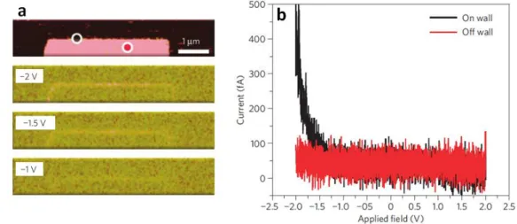 Figure 1.13| Conduction at domain walls in  BiFeO 3 . (a) (Top) Out-of-plane PFM image of a written 180° 