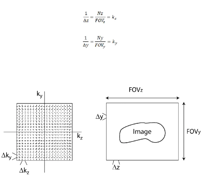 Figure 2-8 : Schéma de définition du FOV et de la résolution spatiale de l’image. 