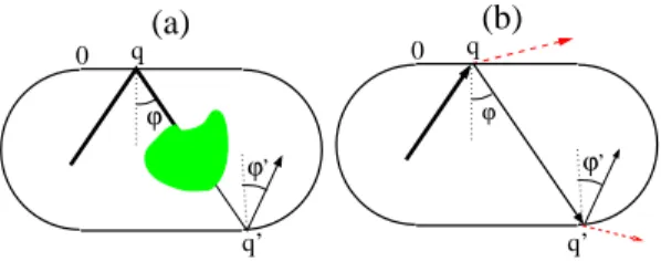 FIG. 1: (Color online) (a) Weighted ray dynamics inside a cavity with inhomogeneous absorption