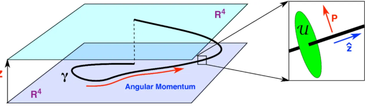 Figure 1. The D1-P or F1-P supertube profile and a typical local neighbourhood.