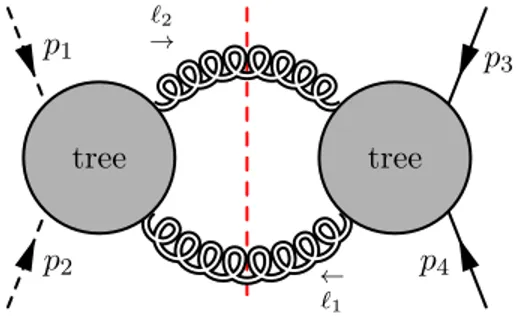 Figure 1. The one-loop scattering of one massless scalars (dotted line) and one massive scalars (solid line) mediated by a graviton (curly line)