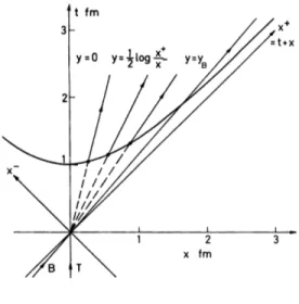 Figure 2. Semi-classical fluid trajectories: the In- In-Out cascade. The rapidity y is equal to the  space-time rapidity η = 1 2 log x x +− .