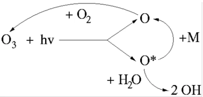 Fig. 2. Production of OH via photolysis of ozone. The photolysis of ozone (O 3 ) produces oxygen atoms in a ground state (O) or higher energy state (O*); the latter can react with water vapour to produce 2 OH radicals