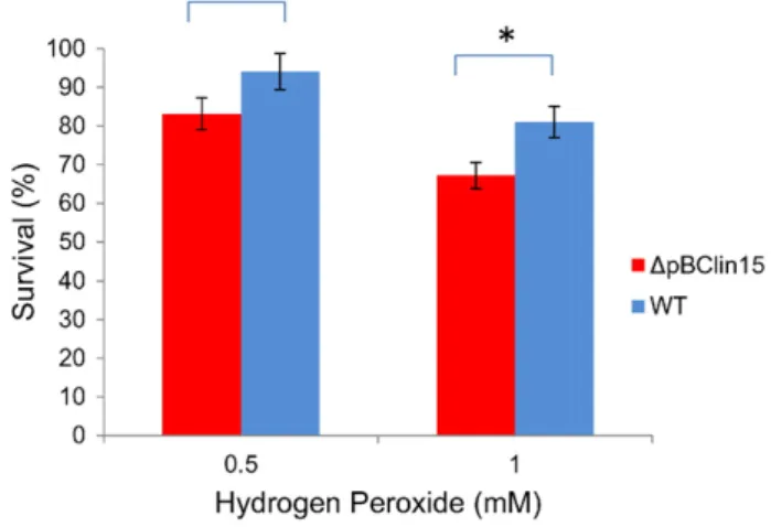 Fig. 3. Schematic description of the comparative analysis of ΔpBClin15 and B. cereus ATCC 14579 proteomic proﬁles