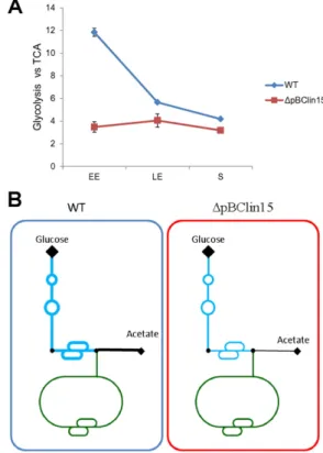 Fig. 7. Speciﬁc production of extracellular proteins by ΔpBClin15 and its parental strain.