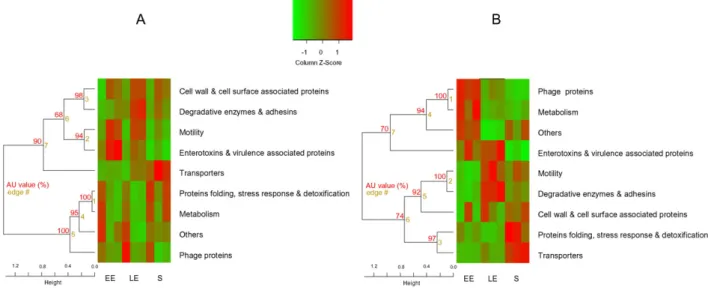Fig. 8. Comparative analysis of exoproteome dynamics based on proteomic proﬁle of functional groups