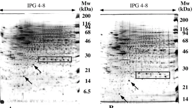 Figure 2: Separation modulation in the SDS dimension by a pH change 
