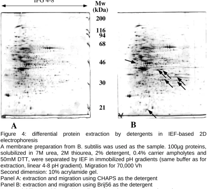 Figure  4:  differential  protein  extraction  by  detergents  in  IEF-based  2D  electrophoresis 