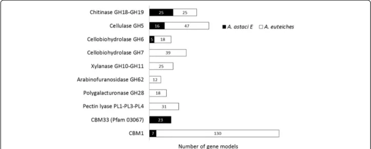 Fig. 4 Most representative CAZyme families predicted in A. euteiches and A. astaci genomes