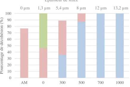 Fig. 4. Localisation de la décohésion dans les systèmes EBC/Si/CMC vieillis à 1300°C sous 50 kPa de H 2 O/50 kPa  d’air après sollicitation en flexion 4 points