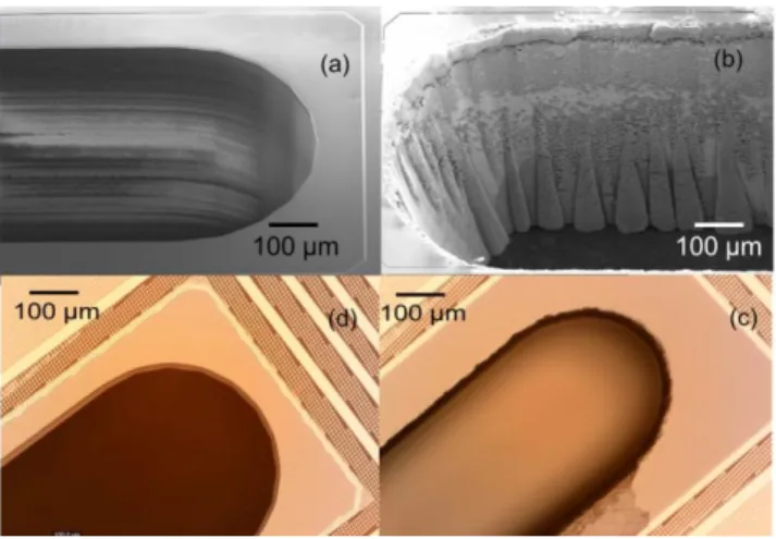 Figure 8: comparison of drilled hole obtained by DRIE or laser technology ;(a) (d) SEM and microscopy view of DRIE  process; (b) (c) SEM and microscopy view of Laser process 