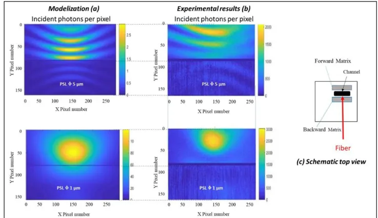Figure 9: comparison modelization (a) Versus experimental results; (b) for two different diameters of PSL particles; (c)  schematic top view of the detection system 