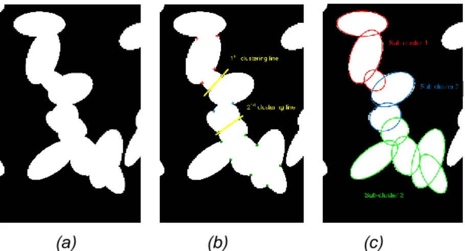 Figure 7 : Méthode de décomposition multi-échelle sur un groupe d’objets de 18 segments : (a)  amas d’objets généré synthétiquement ;  (b) construction des lignes de coupure ; (c) résultat de 