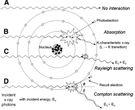FIGURE 1.3 – Schéma illustrant les différents types d’interaction possibles entre un photon X et un atome [17]