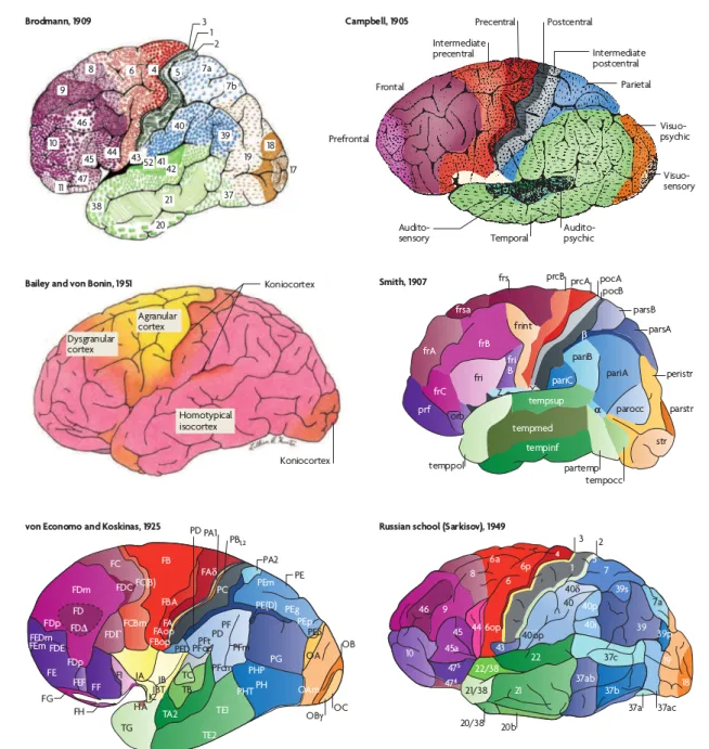 Figure 1.8 – Parcellisations corticales bas´ ees sur la cytoarchitecture : Campbell, Von Economo et Koskinas, Sarkisov, Bailey et Von Bonin, et Brodmann ou bas´ ees sur la my´ eloarchitecture : Smith
