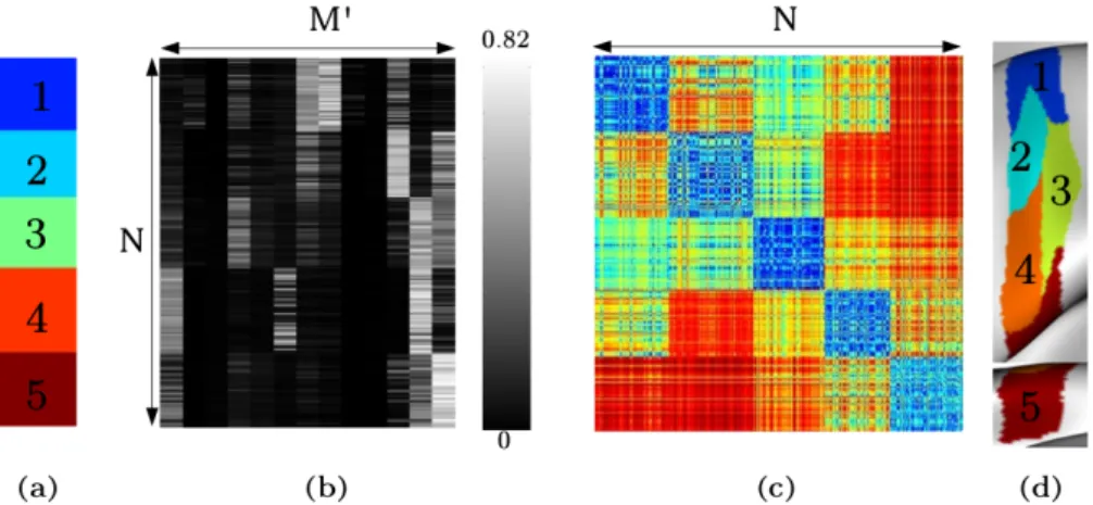 Figure 4.7 – (b) La matrice de connectivit´ e r´ eduite r´ eordonn´ ee (a) selon les classes identifi´ ees (d) du r´ esultat de segmentation du gyrus post-central gauche et (c) la matrice de distance Euclidienne r´ eordonn´ ee associ´ ee.