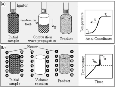 Figure 1 : Processus de combustion possibles avec une source de chaleur (a) localisée ou (b) dispersée [18] 