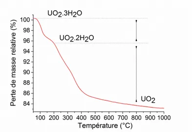 Figure 42 : Courbe ATG enregistrée lors du traitement thermique de précurseurs d’oxyde d’uranium  UO 2 .3H 2 O [51]