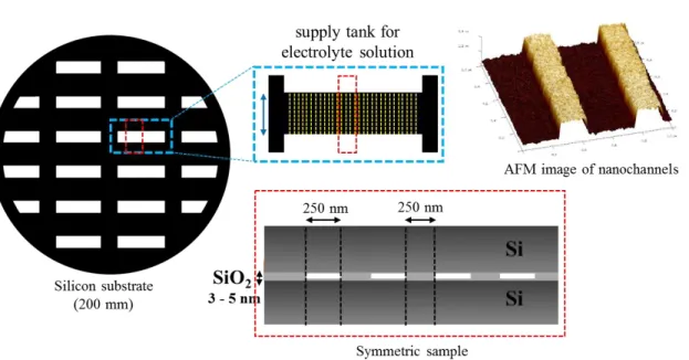 Figure  16:  Schematic  overview  of  the  nanochannels  of  5  nm  supplied  by  CEA/LETI
