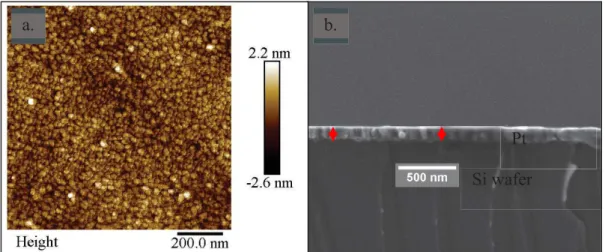 Figure 2.9: Pt Si wafer Working electrode characterization: a) AFM image. b) SEM cros-section of Pt  Si wafer (WE) prior to EPD