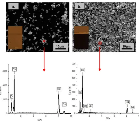 Figure 3.2: SEM top view image of the CuO deposits form CuO/IPA suspension ([CuO]= 5x10 -4 g/cm 3 ): (a)  absence of Mg(NO 3 ) 2  and (b) in presence of [Mg(NO 3 ) 2 ] = (1.5 x 10 -4  g/cm 3 ) with the corresponding EDX 