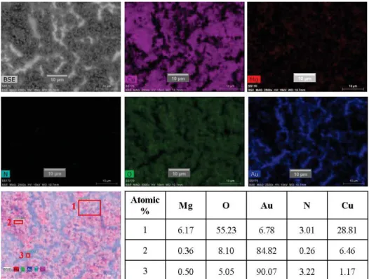 Figure 3.4: Elemental mapping of Au-CuO/Mg film deposit by EPD of CuO/Mg(NO3)2/IPA suspension (15  mins, 50 V/cm -1 )