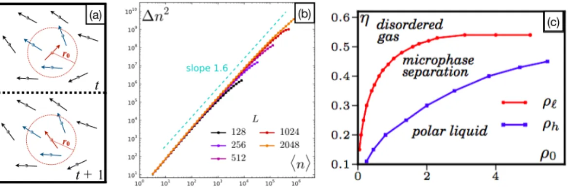 Figure 1.3 – (a): Illustration of the Vicsek-style alignment of the red particle’s velocity with its neighbors (in blue) within the disk of radius r 0 