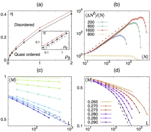 Figure 2.2 – (a): Phase diagram of the Vicsek-shake model in the (ρ 0 , η) plane.