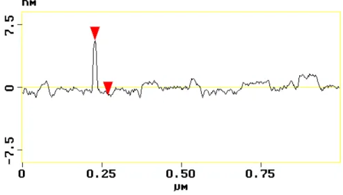 Figure III-22  : profil de surface dans le cas d’un impact résultant de l’irradiation du CaF 2