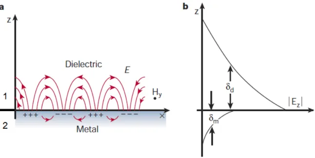 Figure 3.12: (a) Plasmons propagatifs se propageant à l’interface entre un métal et d’un diélectrique