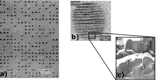 Figure 2 – a) Donn´ ees binaires stock´ ees dans du quartz fondu photographi´ ees avec un microscope optique