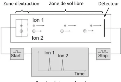 Figure 2.3.2 : Schéma du principe de fonctionnement d’un spectromètre de masse à temps de vol.