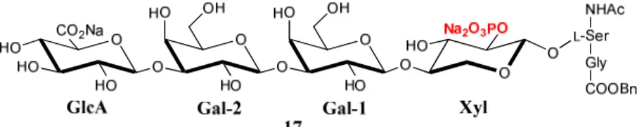 Figure 6 : Glycopeptide phosphorylé 