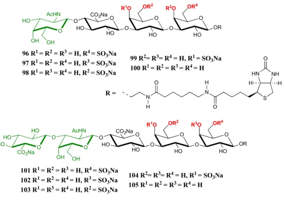 Figure 7 : Tétra- et pentasaccharides biotinylés 