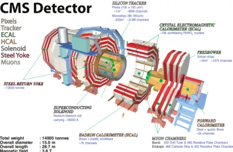 Figure 3.1: Representation of the CMS detector and its major components.