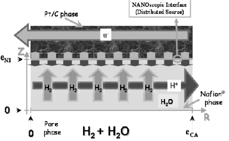 Figure 3.3: Electrode morphology and geometrical model. The  Nafion ®  phase can be seen as an “ef- “ef-fective Nafion ® /water phase” [134]