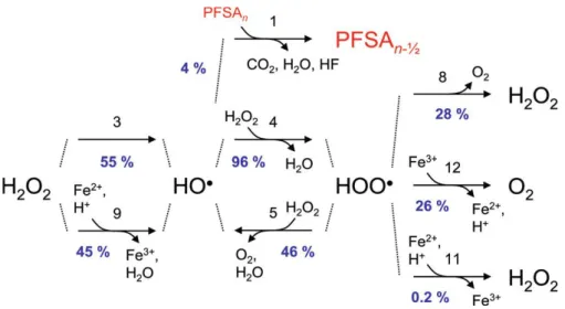 Figure 1.29: Reaction pathways involving radical species in an environment containing iron ions and  PFSA membrane [38]