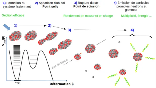 Figure A.1.2 – Schéma des étapes du processus de fission avec les observables mesurables associées [7].