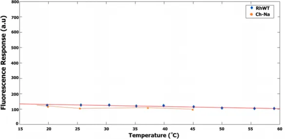 Figure 54: Response of RhWT and Ch-Na as function of temperature