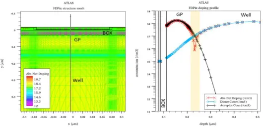Figure 2-13: FDPix structure mesh in TCAD with a cut that shows the doping profile of the diode obtained with CTRIM  simulations 