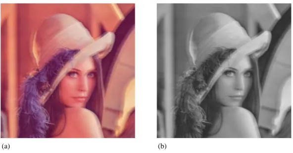Figure 32.  La perception du flou est similaire pour les images en couleurs (a) ou en  niveaux de gris (b)