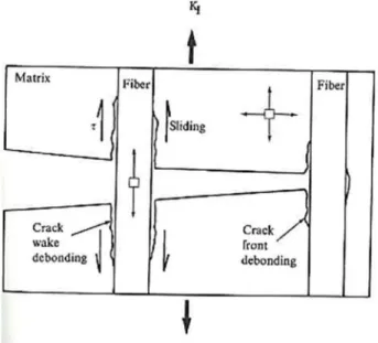 Figure I.23 Front et décohésion en fond de fissure dans un CMC [Chawla 93] 