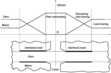 Figure I.24 Modifications du champ de contraintes à l’interface F/M causées par la déviation  d’une fissure matricielle [Chawla 93] 